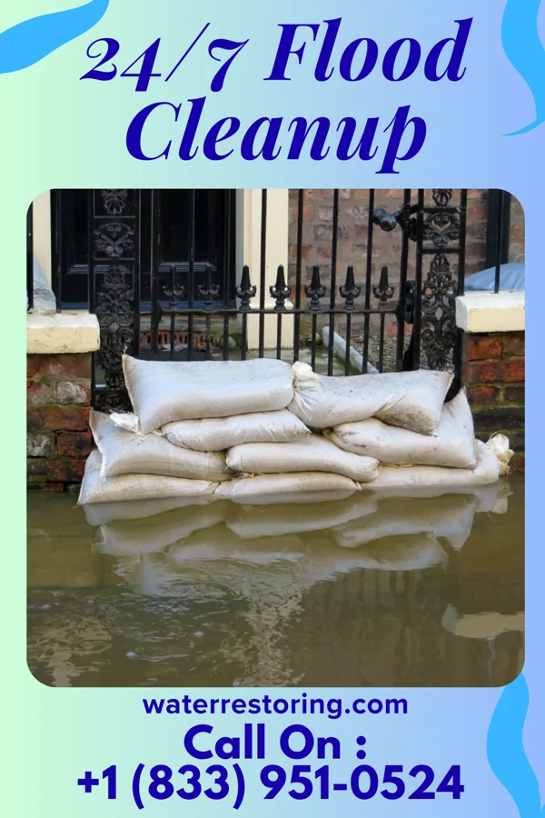 24/7 Flood Cleanup in Iglesia Antigua, TX